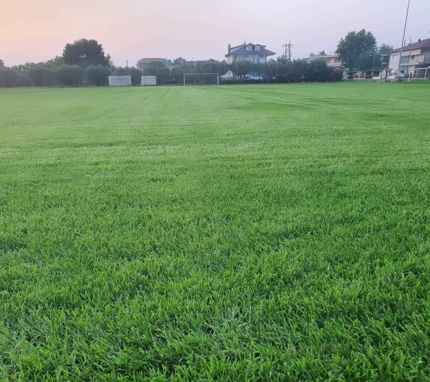 Golden Boys Football Academy files 11x11